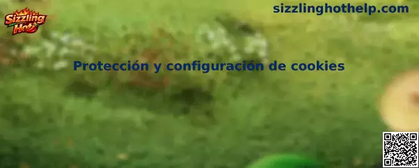 Protección y configuración de cookies de Sizzling Hot
